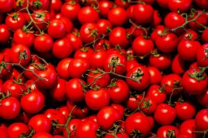 Tomate : le Ghana lance un projet pour combler un déficit de 300 000 tonnes