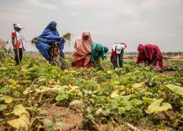 Afrique : Éthiopie et Nigeria s’allient pour accélérer le financement agricole