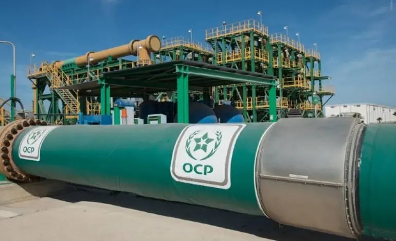 Transformation verte : OCP veut lever 541 millions $