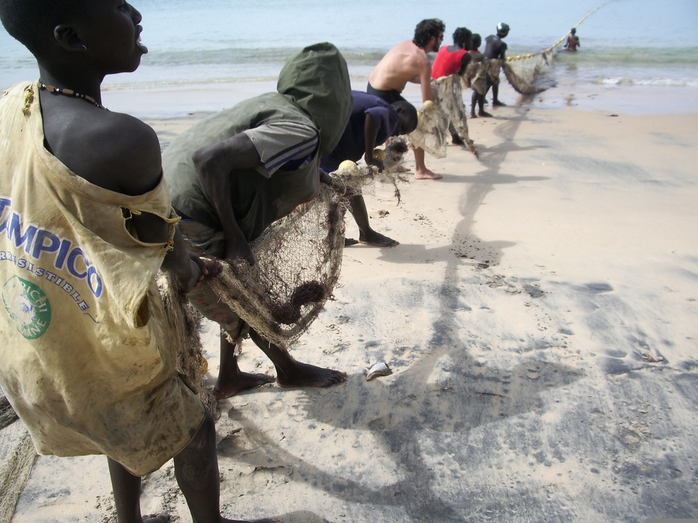 Sénégal : le chômage élargi grimpe à 22,9 %