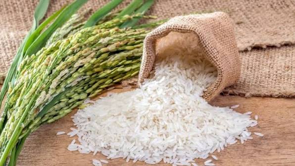 Sénégal : Dakar suspend les importations de riz
