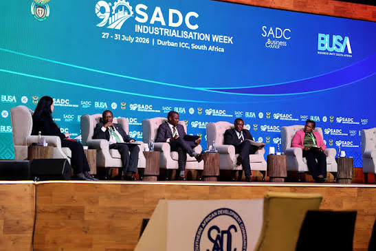 SADC : la CEA veut convertir les minerais critiques en moteur d’industrialisation