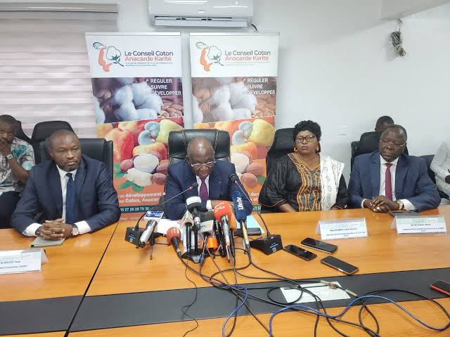 Karité : la Côte d’Ivoire fixe un prix plancher et mise sur la transformation