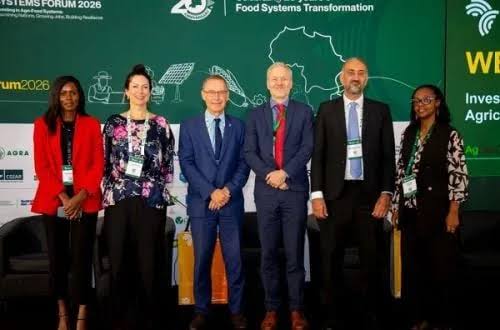 Agroalimentaire : 10 millions $ pour soutenir la prochaine génération d’entreprises africaines