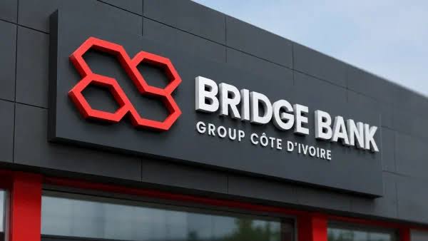 Côte d’Ivoire : Bridge Bank Group bondit de 46%