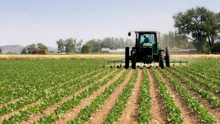 Rwanda : plus de 14 milliards $ mobilisés pour l’agriculture