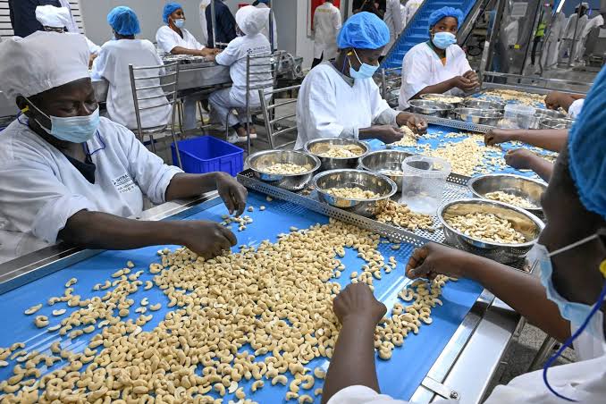 Côte d’Ivoire : 10 milliards FCFA investis dans une nouvelle unité de transformation d’oléagineux